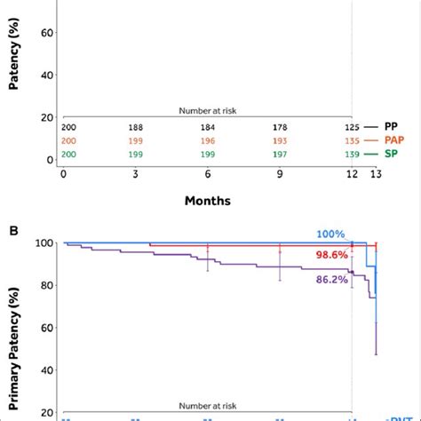 Kaplan Meier Estimates Of Patency A Primary Patency Rates Through