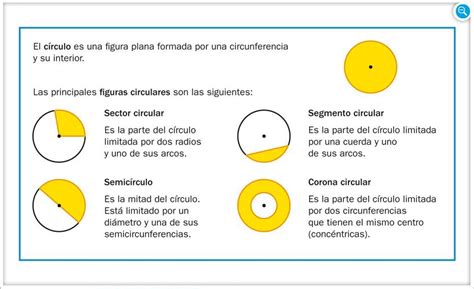 La Circunferencia Y Sus Elementos Primaria Penza