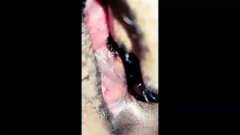 Free Desi Indian Pussy Eating Porn Videos Xhamster