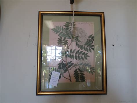 New Arrivals - Charlottesville Store - The Second Yard