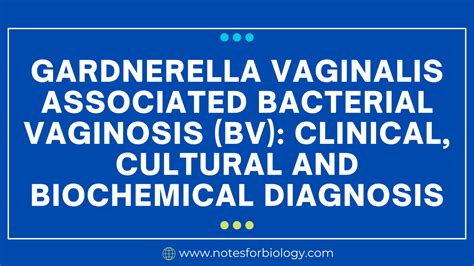 Gardnerella Vaginalis Associated Bacterial Vaginosis Bv