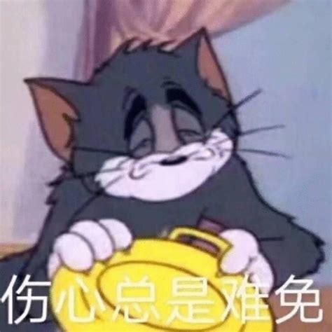 猫和老鼠表情包458张 知乎