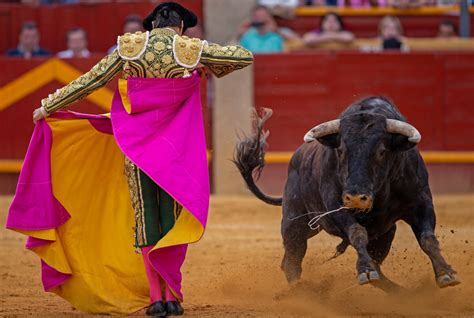 Rafael Ortega Muere torero tras varios días hospitalizado