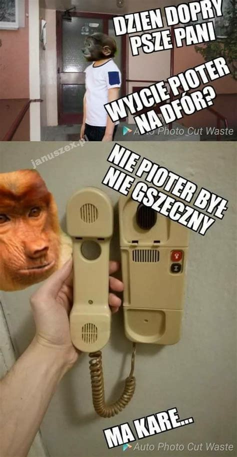 Nosacz Ma Pa Janusz Piotrek Very Funny Memes Life Decisions Best