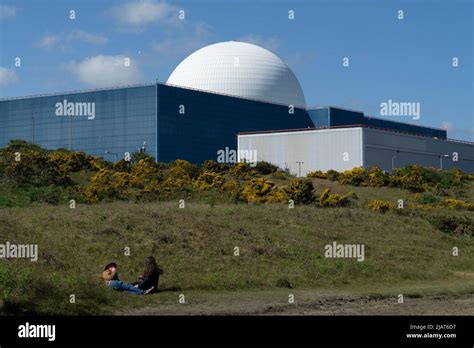 White Nuclear Dome Sizewell B Nuclear Reactor Blue Sky Yellow Gorse