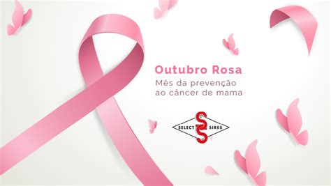 Outubro Rosa A Prevenção Sempre é O Melhor Remédio Notícia