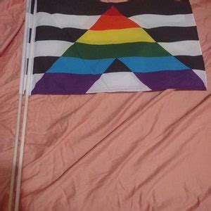 Handheld Pride Flags X On Wood Stick Varieties Rainbow Gay Spirit Trans And