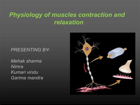 Physiology of muscles contraction.ppt