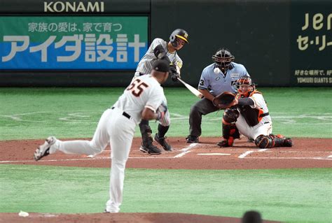 【阪神】佐藤輝明が今季自己最長8試合連続安打、8月打率3割超 毎年苦戦長期ロード乗り切った プロ野球写真ニュース 日刊スポーツ