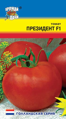 Томат Президент. Описание, ОТЗЫВЫ (10), характеристика, фото | tomatland.ru