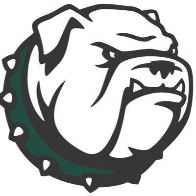 CHS Bulldogs Hockey (@CantonHSHockey) / Twitter