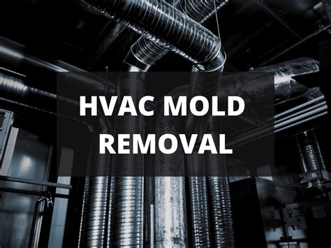 How To Remove Mold From Air Conditioner Ducts | Mold Remediation