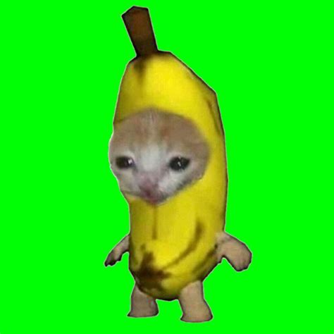 котик банан на зелёном фоне | Cool colorful backgrounds, Colorful ...