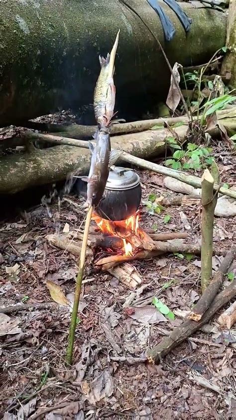 Suasana Camping Di Hutan Dayakkayan Kalimantan Umaqlasan Umaqlesen