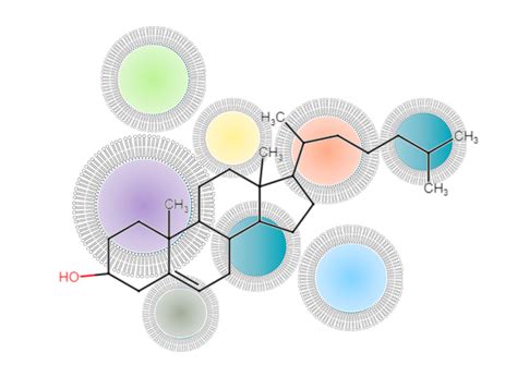 Lipidomics Analysis - The Metabolomics Innovation Centre