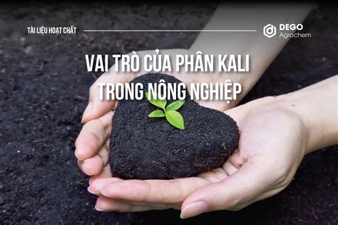 Vai Tr C A Ph N Kali Trong N Ng Nghi P Dego Agrochem