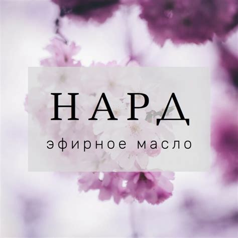 Эфирное масло Нарда - Вся правда о счастливой жизни