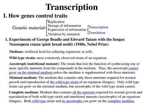 Solution Transcription Studypool