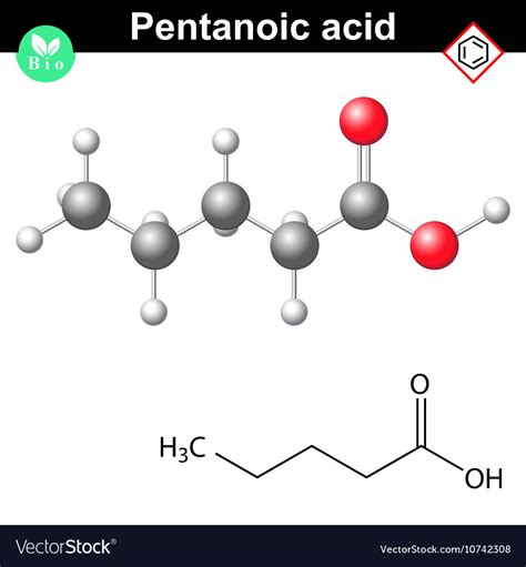 Valeric Acid Molecular Model And Chemical Vector Image