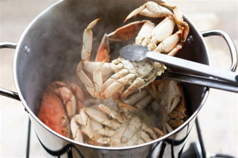 How To Cook Dungeness Crab A Step By Step Guide