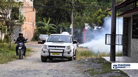 El Alcalde De Pasaje Lidera Una Campaña De Fumigación Para Prevenir El