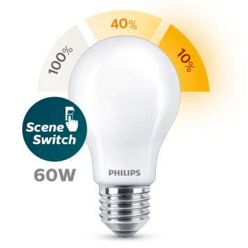 Philips LED Peer E27 60W Sceneswitch Mat Karwei