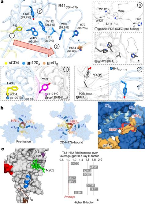 Open and closed structures reveal allostery and pliability in the HIV-1 ... 