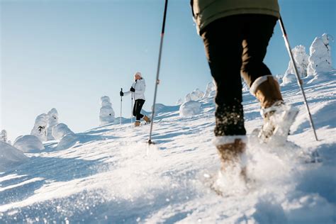 Lapland Hotels SnowVillage