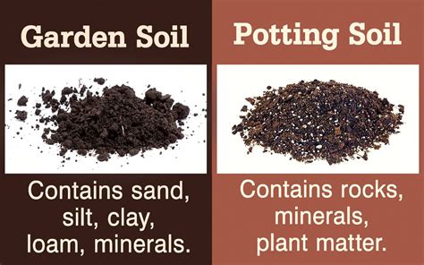 Garden Soil Vs Potting Soil Potting Soil Garden Soil Container