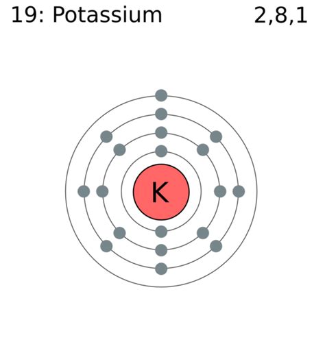 File:Electron shell 019 potassium.png - Wikimedia Commons