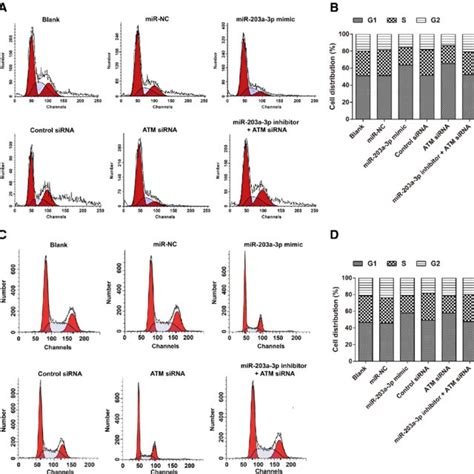 Mir 203a 3pmodulates The Cell Cycle Of A2780 Cells A B And Skov3cells Download Scientific