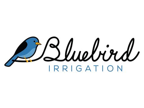 Bluebird logo by jeff youngblood on Dribbble