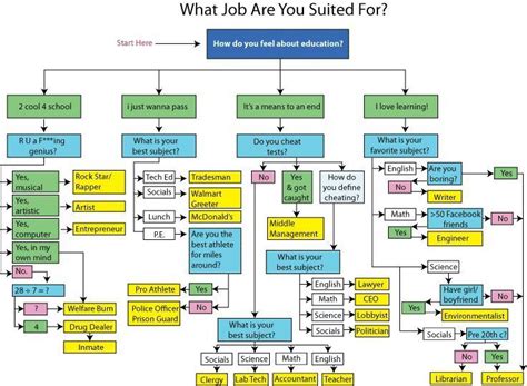 career choices flow chart funny engineering flowchart meme funny