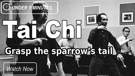 Cheng Man Ching 37 Short Form Movement 2 Grasp The Sparrows Tail