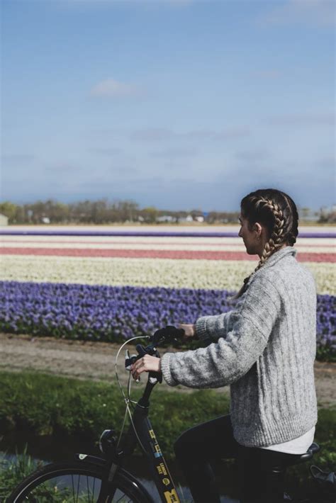 Champs de tulipes aux Pays-Bas: quand y aller, circuit & conseils