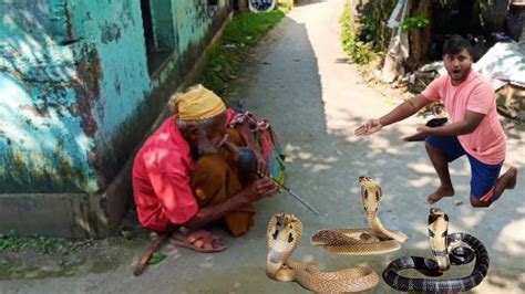 Bahut Dino Ke Bad Sap Khela Dekhne Ke Liye Mila🐍🐍🐍 Mksir319 Youtube