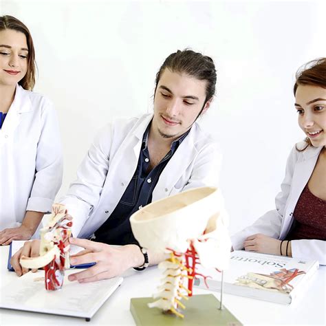 Homepage | Medipol University