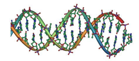 Ancient Dna Explains Human Origins And Prehistory Dartmouth