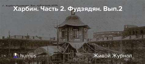 Харбин. Часть 2. Фудзядян. Вып.2: humus — LiveJournal
