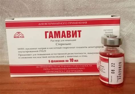 Гамавит для кошек: инструкция и показания, отзывы, цена
