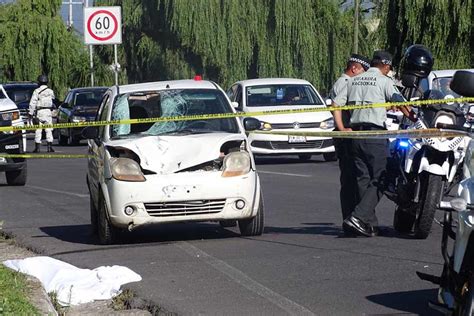 Se Registran Seis Muertes Por Atropellamiento Durante El Mes De Junio