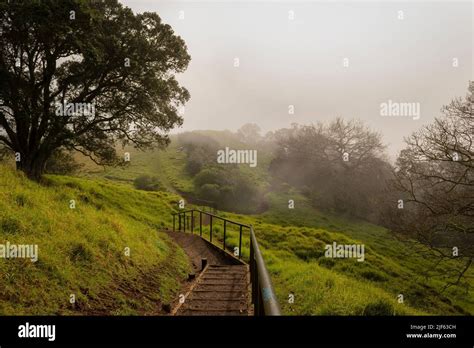 Fog drifting over Mt Eden summit, Auckland Stock Photo - Alamy