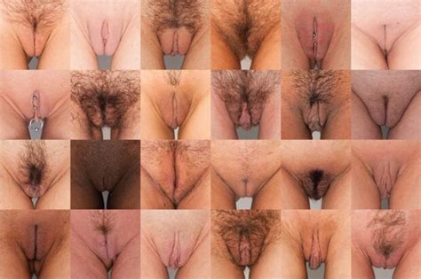 Many Labia In Many Sizes Marscybergon