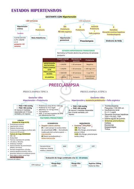 Preeclampsia Dra Stephany Gálvez uDocz