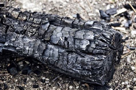 A Black Burnt Log From A Fire Stock Photo Image Of Energy Crack