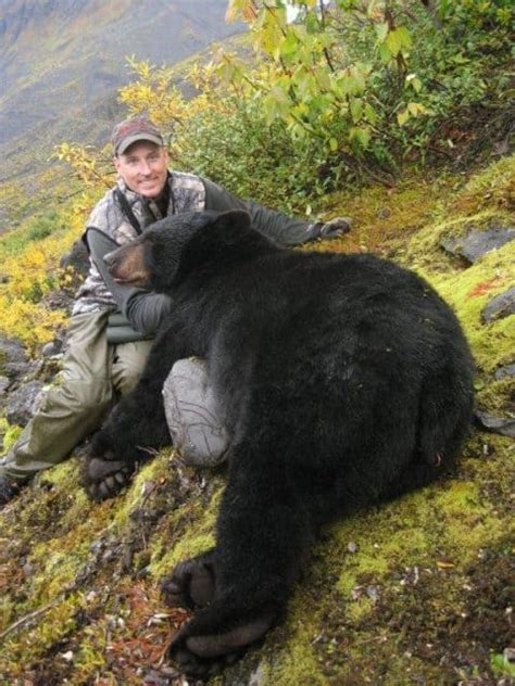 Incidental Alaska Brown Bear Hunts Litzen Guide Service