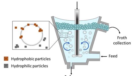 Froth flotation: a quick overview - European Training Network for the Remediation and ...