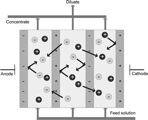 Electrodialysis process | Download Scientific Diagram