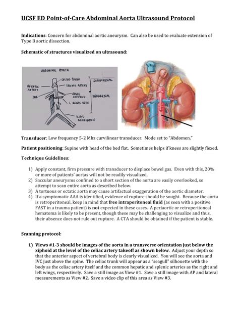 Abdominal Aorta Ultrasound Protocol - DocsLib