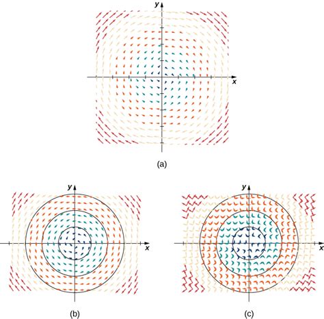 Vector Fields Calculus Iii